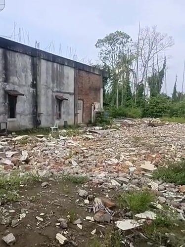 Unripe mangoes gathered near a demolition site in rural Aceh