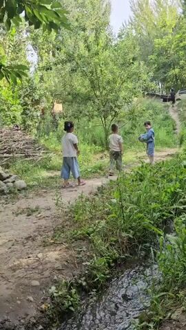 Three children are standing in a dirt path in a wooded area. The child on the left is wearing a white t-shirt and blue pants. The child in the middle is wearing a white t-shirt and camouflage pants. The child on the right is wearing a blue shirt and shorts and is holding a ball. There is a stream in the foreground and trees and bushes in the background.