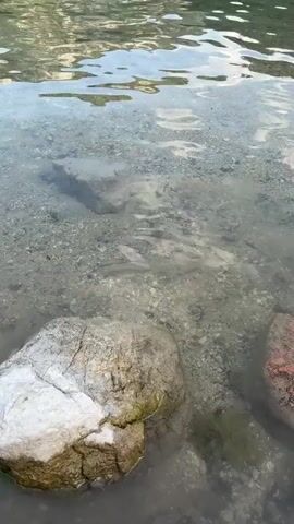 The video shows a close-up, top-down view of clear, shallow water flowing over a rocky, gravelly riverbed. Large, rough rocks are visible in the foreground and middle ground. The water is calm, with gentle ripples reflecting the sky and surrounding environment. Small fish can be seen swimming in the water. The overall impression is one of a natural, serene aquatic environment.