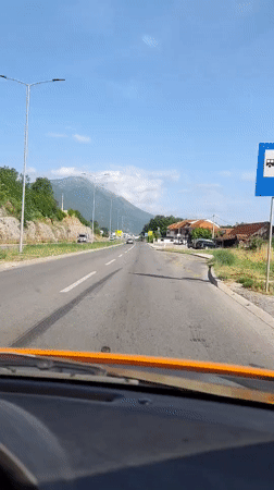 Morning drive through Montenegro captures roadside flowers and wildlife