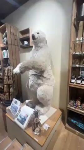 Here is a concise description of the video:

The video shows the inside of a tourist shop. The camera is stationary and focuses on a large stuffed polar bear positioned on a wooden platform. The bear is standing upright on its hind legs, with its front paws outstretched, giving it a welcoming or inviting posture. The platform is cluttered with various items, including postcards, a small metal windmill, and a price tag.

The background includes wooden shelves filled with various souvenirs and products. To the left, there is a wooden rack displaying trinkets and souvenirs. To the right, a glass-fronted shelf contains jars, decorative items, and a blue souvenir bag labeled "ICELAND." The walls are a light beige color. The overall lighting is bright and appears to be artificial.  The video is likely taken by someone browsing through the store.