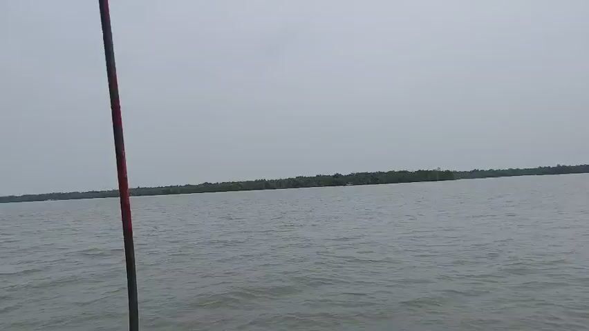 The video shows a view from a boat on a body of water. The water is grey and choppy. In the distance, there is a long, thin line of trees, suggesting a shoreline or island. The sky is overcast and grey. A vertical pole, painted with red and black stripes, is visible in the foreground on the left side of the frame. The front of the boat, a green and red railing, is also visible in the lower portion of the frame. The camera appears to be stationary, capturing a still image of the scenery.