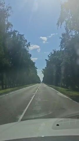 A first-person perspective video shows a car driving down a tree-lined road on a sunny day. The road is paved with a white line dividing the lanes. Several other vehicles are visible on the road ahead and passing by. The sun is shining brightly, casting rays through the trees, and there are a few clouds in the blue sky. The trees on either side of the road are lush and green, creating a tunnel-like effect. The video appears to be filmed from the dashboard of the vehicle.