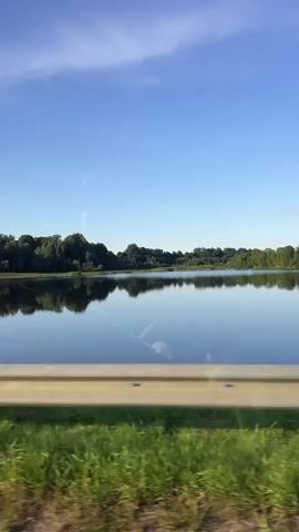 This is a video taken from a moving vehicle. The camera is angled to capture a wide shot of a calm lake or body of water. The water's surface is still, perfectly reflecting the blue sky and a distant treeline. A metal guardrail runs horizontally across the lower portion of the frame, separating the viewer from a strip of green grass and some plants. In the background, a dense line of trees forms the horizon. The sky is a clear blue with a few wispy white clouds. Power lines are visible in the upper portion of the sky, stretching across the scene. The lighting suggests it is daytime, likely late afternoon or early morning given the soft light. No people are visible in the frame. The overall impression is one of peaceful travel through a scenic natural landscape.