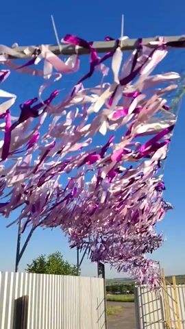 This video captures a sunny day with a clear blue sky, likely late afternoon or early evening due to the long shadows cast by the fencing. The scene is outdoors, possibly in a rural area given the fence and distant fields.

The primary focus is a structure adorned with numerous ribbons. These ribbons are a mix of white, pink, and purple, some appearing to be metallic or iridescent, catching the sunlight and creating a shimmering effect. They are attached to a horizontal bar, forming a canopy or decorative screen that extends across the frame and into the distance. The ribbons are moving and fluttering in the breeze, giving the impression of a festive or celebratory decoration.

Below the ribbon structure, there is a white corrugated metal fence. To the left, a green tree is visible. The ground appears to be dirt or gravel. The overall mood is bright and cheerful, with the vibrant colors of the ribbons against the blue sky suggesting a happy occasion or a visually appealing installation. There is no visible text in the video.
