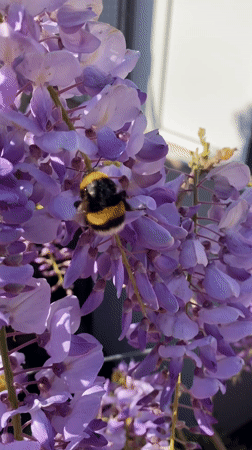 Morning walk through Budva captures urban details and coastal views