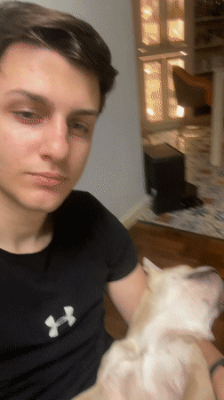 Person holds relaxed French Bulldog in Varna, Bulgaria