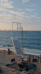 Dog watches beachgoers from deck on Vietnamese island resort