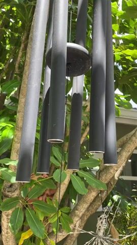A black wind chime with multiple tubes hangs in a tree with green leaves. The wind chimes are made of metal and painted black. The body of the chimes is a black disk. The tree has light brown bark and the leaves are shiny and green. Partially hidden among the leaves is a decorative pinkish-tan sculpture resembling a brain. A star-shaped light hangs below the brain. The background includes a white building and other green foliage.  The wind chimes produce a gentle ringing sound as they move.