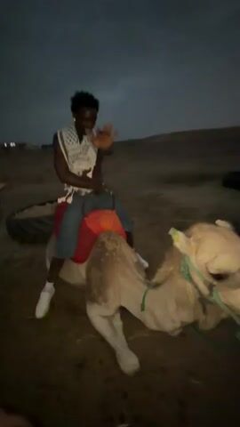 A man is filming a short video outdoors at dusk or night. In the foreground, a muscular man with blond curly hair, shirtless and wearing blue jeans, is holding the camera, possibly taking a selfie. He is smiling and looking at the camera. Behind him, a camel is lying down on the sandy ground. A person, appearing to be a Black man wearing a white patterned shirt and blue jeans, is sitting on the camel. The camel has a red and orange saddle. The scene appears to be a desert or sandy area, with some debris, including what looks like tires, visible in the background. The person on the camel is looking away from the camera and appears to be interacting with the camel. The video briefly pans to show another person and a camel. The overall atmosphere seems casual and possibly playful.