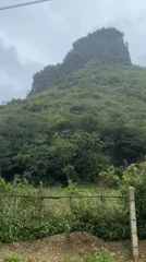 Rural Vietnam farmland captured under overcast morning skies