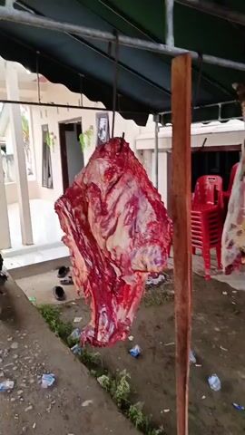 The video shows several skinned and butchered animal carcasses, likely goats, hanging from a metal frame under a green awning. The camera pans from left to right, revealing more carcasses. Underneath the awning and to the right, stacks of red plastic chairs are visible. In the background, there's a white tent-like structure and a few people sitting and standing. The ground is dirt, and there's some litter scattered around.