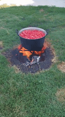 Tomatoes cook over open fire on a Bucharest summer afternoon