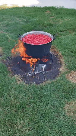 Tomatoes cook over open fire on a Bucharest summer afternoon