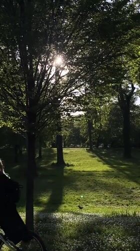 Afternoon sunlight captured in Novi Sad park