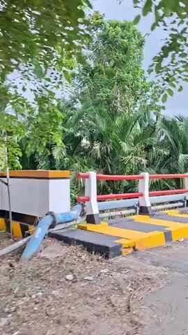 The camera appears to be moving across a bridge or overpass in a tropical-like environment. The bridge has barriers painted with alternating yellow and black stripes on the curb, and red and white railings. There is a large amount of lush green vegetation and many palm trees on either side of the road. Debris and litter are visible on the ground near the bridge. The sky appears overcast.