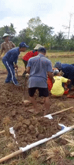 Fieldwork and rest breaks in rural Sidamulya, Indonesia