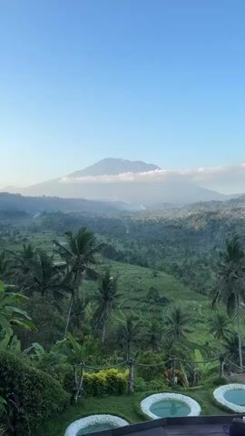 The video shows a panoramic view of a lush green landscape with a large mountain in the background. The mountain is partially obscured by clouds. In the foreground, there are palm trees and some planters with white flowers. The landscape appears to be terraced, suggesting it might be agricultural land, possibly rice paddies. The sky is clear and blue. There are no people or animals visible in the video. The lighting suggests it is either early morning or late afternoon.