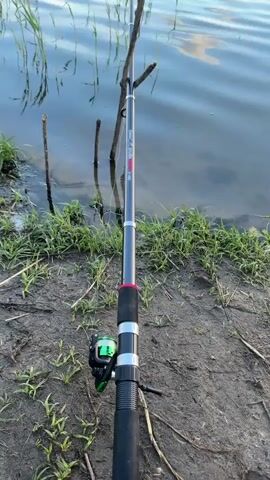 A fishing rod is propped up on the muddy shore of a lake with tall grass growing along the water's edge. The fishing reel is green and silver. In the background, the lake is calm with gentle ripples, and the sky is a light blue with white clouds. Trees can be seen in the distance.