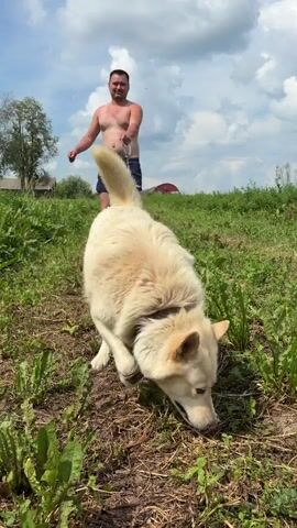 A shirtless man stands in a grassy field holding a leash attached to a light-colored dog. The dog is sniffing the ground. The man is wearing dark shorts. The background shows a cloudy sky and trees. The video is recorded from a low angle.