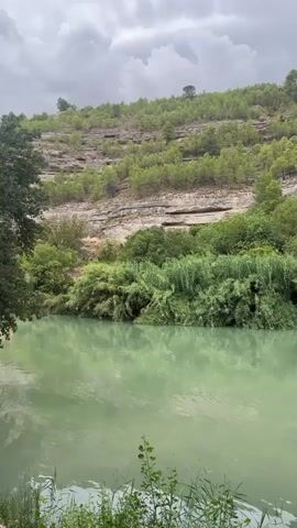 The video captures a serene landscape scene. In the foreground, a tranquil body of greenish water reflects the overcast sky and the surrounding vegetation. On the far bank of the water, a dense expanse of lush green bushes and tall reeds thrives. Behind this verdant growth, a steep, rocky hillside rises, adorned with a scattering of evergreen trees and dotted with horizontal rock formations. The sky above is filled with dramatic, grey, and white clouds, suggesting a potentially stormy or changeable weather condition. The overall impression is one of natural beauty and a sense of peaceful seclusion.