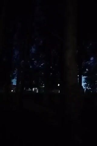 The video shows a dark, wooded area at dusk or dawn. The sky is a deep blue, transitioning to a lighter blue near the horizon. Silhouetted trees line the foreground and midground, with their branches forming intricate patterns against the sky. In the distance, faint lights are visible, suggesting the presence of buildings or streetlights. The overall atmosphere is quiet and serene, with a sense of natural beauty and tranquility.