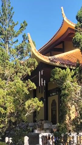 A close-up shot of a traditional Asian temple building. The building has a yellow, curved roof with orange tiles and dark wooden beams. Lush green trees with a bright blue sky are visible around the structure. A set of tall, dark wind chimes hang in front of the building's entrance, which is adorned with intricate carvings. Several stone structures, possibly altars or offerings, are placed at the base of the building, partially obscured by the foliage. The scene is bathed in bright sunlight, casting shadows.