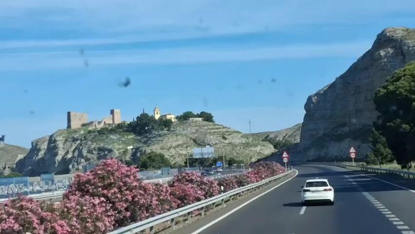 The video shows a road with a white car driving on it. On the left side of the road is a hill with a castle and a church on top, as well as a bull statue on a smaller hill in front of the main hill. The road has pink flowers growing along the median. The sky is blue.