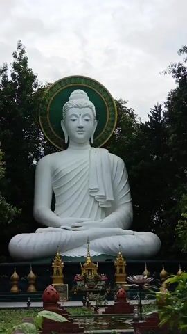 A statue of Buddha sits outdoors in front of trees. The statue is white, large, and in a seated position with a halo behind its head. There are decorative elements in front of the statue, possibly part of a garden. The sky is overcast.