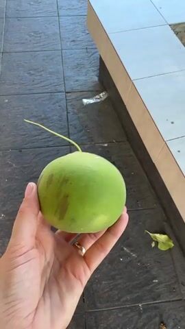 A hand holds a green, round fruit with a circular pattern on the bottom. The camera follows the hand as it raises the fruit and then shifts focus to a view of a sunny area with buildings and possibly a gas station in the distance. The camera then tilts upward to show the green leaves of a tree against a bright blue sky. The camera remains focused on the tree canopy.