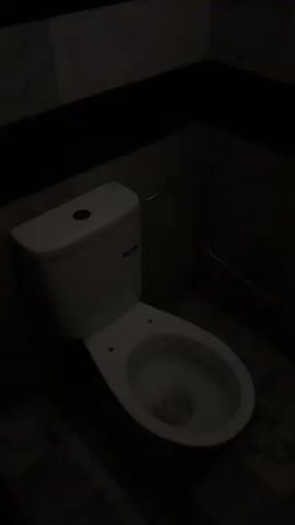 The video shows a toilet in a dark bathroom.  The toilet is white, and the seat is up.  The floor is tiled.  There appears to be water inside the toilet bowl.  There is a water line coming out of the back of the toilet. At first it’s light, but then the video dims substantially, to darkness.
