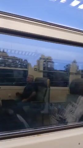 The video shows the interior of a train carriage, viewed through a window. The window reflects the sky and trees outside. Inside, a man with short gray hair and glasses is sitting in a seat, wearing a dark shirt. He is looking out the window. Another person, partially visible, is sitting in a seat in the foreground, wearing a checkered shirt. The seats appear to be upholstered in a dark fabric. The train carriage is illuminated by natural light and the reflections from the window.
