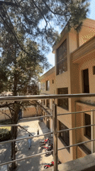 Morning scenes documented at two locations in Kabal, Pakistan
