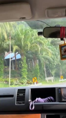 The video begins by showing the interior of a vehicle, specifically the dashboard and windshield. The view outside the windshield is of a lush, green environment with numerous palm trees. There are road signs visible, including a yellow chevron warning sign indicating a curve to the right and another similar sign for a curve to the left. The vehicle appears to be in motion, as indicated by the slight blur of the trees and the continuous movement of the road ahead. Hanging from the rearview mirror are two items: a framed picture, possibly religious or decorative, and a red tassel or charm. In the center console of the vehicle, a folded purple umbrella is visible in an open compartment. To the right of the umbrella is the vehicle's infotainment system display, which shows music playback controls and a time of 06:56. The road ahead curves to the right and continues into the distance, where more trees and a bright sky can be seen. The overall impression is of a drive through a tropical or subtropical, forested area, possibly during overcast or rainy weather, given the muted lighting and the presence of the umbrella.