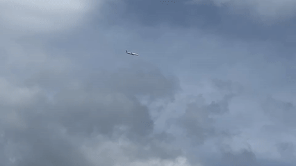 Overcast afternoon in Vaughan: planes, trees, and a red flip-flop