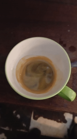 Evening cafe scenes with beverages and dog captured in Buenos Aires