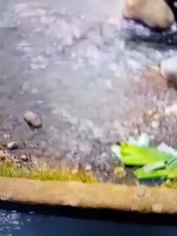 The video shows a shallow, clear stream flowing over rocks and pebbles. The water is slightly disturbed, indicating movement. On the left bank, there is green grass and some small stones. On the right bank, there are larger, lighter-colored rocks, and further in the background, there are trees and a bright yellow field, possibly rice paddies. The scene appears to be in a rural, natural environment.