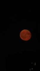 Blood moon rises over Khimki's city skyline