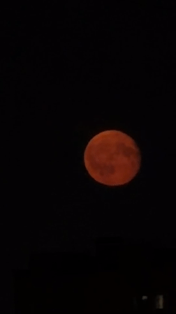 Blood moon rises over Khimki's city skyline