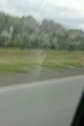 The video shows a blurry view from inside a vehicle, looking out a window. The foreground is dominated by a gray road, suggesting the vehicle is in motion. A thin black line separates the road from a strip of green grass. Beyond the grass, a dense line of trees with light green foliage stretches across the background. The sky is overcast and appears gray. A faint, vertical reflection is visible on the window. There are no people or specific objects clearly discernible due to the blurriness.
