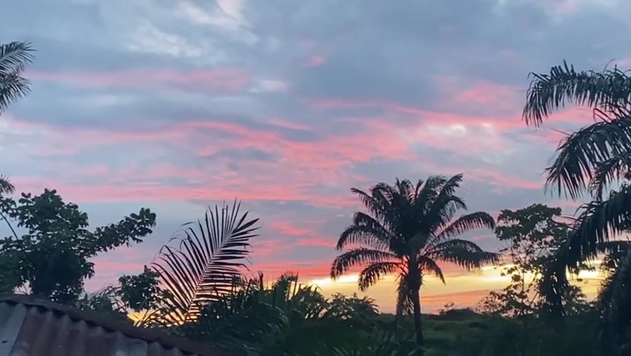 Vibrant sunset with palm trees observed in Achara, Nigeria