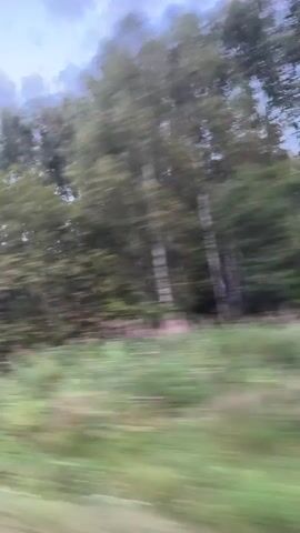 The video shows a blurry, fast-moving shot of a forest with trees and green foliage. The camera is panning rapidly from left to right, creating a streaky effect that blurs the details of the environment. The sky above is a muted blue with some clouds. It appears to be daytime. No people or specific objects are discernible due to the motion blur.