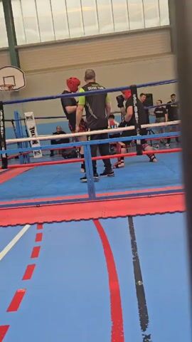 The scene is a boxing match taking place in a boxing ring set up on a blue and red court, presumably in a gymnasium or similar large indoor space. Two individuals wearing protective gear including headgear and gloves face each other in the ring. A referee is positioned between them, observing the match. Surrounding the ring are various spectators, including individuals standing, sitting, and holding phones to record the event. The ring itself is constructed with blue and red ropes supported by corner posts, and there are advertisements visible on the posts. The overall environment appears to be a local or amateur boxing event.