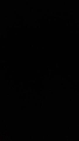 The video displays a completely black screen for its entire duration. No visual elements are present.

Audibly, there is a loud, drawn-out scream at the very beginning, immediately followed by someone speaking in a low voice, saying, "That's how I fucking feel, bro."