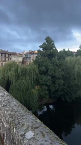 A vertical video displays a serene river scene under a cloudy sky. The foreground features the weathered stone railing of a bridge. Beyond the railing, the river flows calmly, reflecting the lush green trees and buildings on its banks. Dominant are weeping willow trees with their characteristic drooping branches, alongside a larger, denser tree. In the background, buildings with terracotta roofs and modern architectural elements are visible, nestled among the foliage. The overall mood is tranquil, with the overcast sky suggesting an impending rain or a twilight setting. No people or animals are discernible in the video.