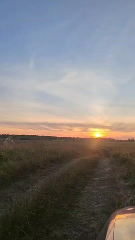A sunset is viewed from a low-angle, moving vehicle. The sun is visible low on the horizon, casting a warm orange glow across the sky and through tall grass in a field. In the distance, two people can be seen in the field.