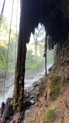 The video shows a view of a waterfall cascading down rocks in a lush, green forest. In the foreground, there are large, dark, wet rocks with thick vines hanging down. A person's hand with tattoos is visible on the left side, reaching out towards the vines. The water flows over the rocks and into a stream below. In the background, the waterfall continues, surrounded by dense vegetation and trees. Sunlight filters through the trees, creating a hazy effect. A winding path is visible in the distance, partially obscured by the falling water. The overall impression is of a natural, tropical environment with a prominent waterfall.