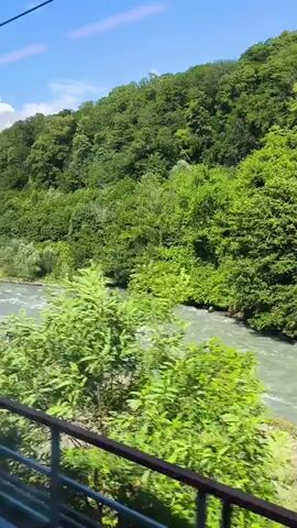 The video captures a scenic view from a moving vehicle, likely a train or car, traveling alongside a fast-flowing river. The river, with its choppy, grey-green water, is the central element, bordered by lush, dense green foliage on the opposing bank. The terrain is hilly, with the trees covering the slopes and extending upwards, creating a dense forest canopy. The sky above is a clear, bright blue, indicating a sunny day.

The time of day appears to be midday or early afternoon, given the strong sunlight casting shadows and illuminating the scene. The weather seems pleasant and warm, contributing to the vibrant green of the vegetation. The presence of a railing in the foreground, with red and grey elements, suggests the viewpoint is from a bridge, overpass, or possibly a train car with an open-air section. The fast-moving river and the blur of green leaves indicate the vehicle is traveling at a moderate to high speed.

While there are no people visible in the frame, the scene evokes a sense of natural beauty and tranquility, perhaps experienced during a journey. The location context provided, Chereshnya, Russia, suggests a mountainous or forested region in Russia where such a river and landscape would be found. There is no visible text within the video. The overall impression is one of natural splendor during a pleasant, sunny day.