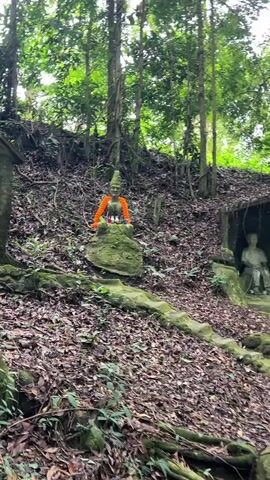 The video shows two statues in a forest. One is of a Buddha, adorned with orange fabric. The other, further away, sits in a stone alcove; it is a statue of a person in casual clothing, seated in a relaxed pose. The alcove appears old, and the area is covered in leaves and lush greenery. The camera zooms in on the statue in the alcove.