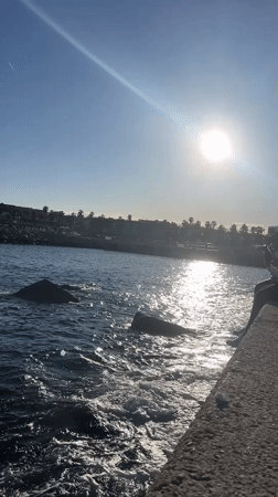 Person sits on Barcelona waterfront ledge during sunny afternoon